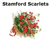 Stamford Scarlets