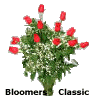 Bloomers Classic