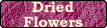 Dried Flowers