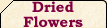 Dried Flowers