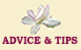 Advice & Tips