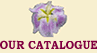 Our Catalogue