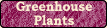 greenhouse plants