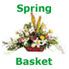Spring Basket