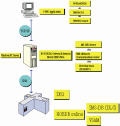 network image